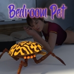 Bedroom Pet: A new beginning